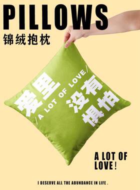 趣味文字梗抱枕靠枕车载方形靠垫枕头客厅沙发办公室创意护腰靠背