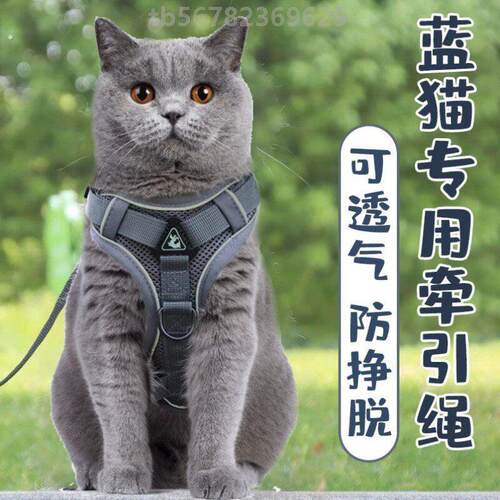 蓝猫牵引绳背心胸背可调节英短蓝白猫遛猫绳子防挣脱专用外出链