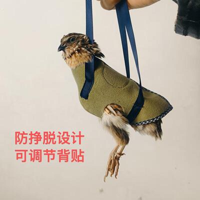 鹌鹑手把袋 鹦鹉手把袋 鹌鹑出门神器 可控食 练胆量 做工精致