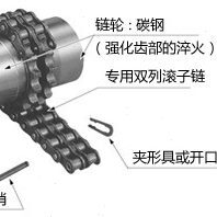 甄选椿本联轴器  CR4016 链条联轴器