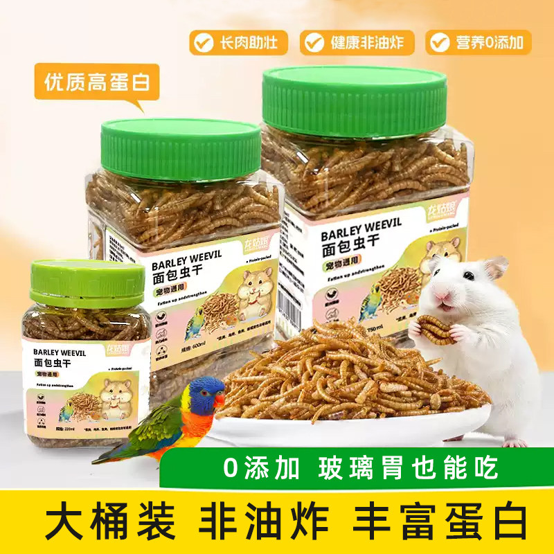 面包虫宠物食品零食饲料黄粉虫冻鼠粮