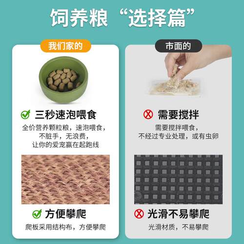 爬宠专用蟑螂饲养盒 蟋蟀躲避屋小号 油葫芦饲养笼