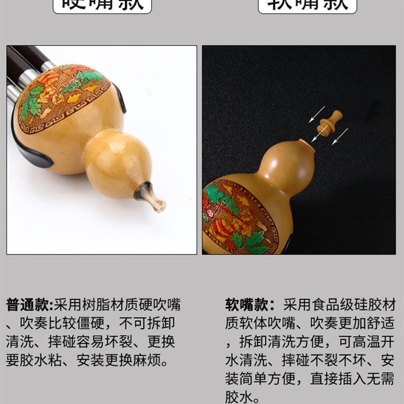 葫芦丝C键小学生乐器防摔南珠市专业演奏B型平键初学者9孔葫芦丝