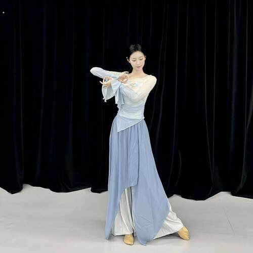 舞蹈绝美练功服古典舞身韵蝴蝶喇叭袖纱衣中国舞民族演出服上衣女