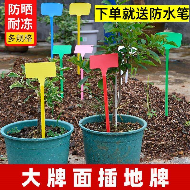 平面斜面塑料大号插地牌园艺标签农用玉米试验地记号指示标牌组合