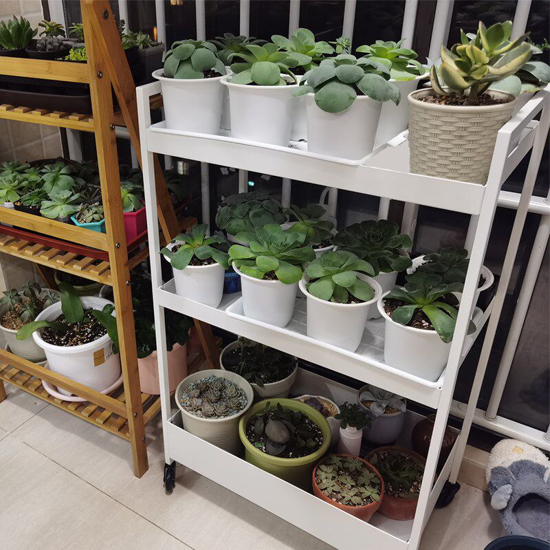 置物架落地多层花架铁艺阳台收纳架整理架多肉架花盆架子