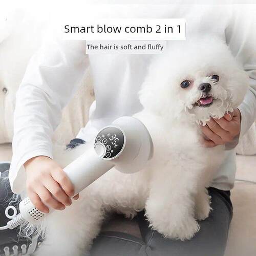 宠物理毛器宠物吹风机狗狗智能吹毛拉毛一体机猫咪梳毛速干小型犬