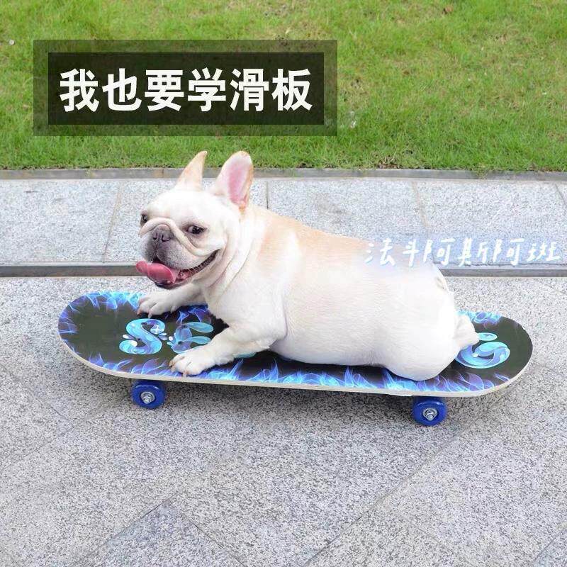 狗狗滑板宠物滑板闪光轮英斗专业活力板