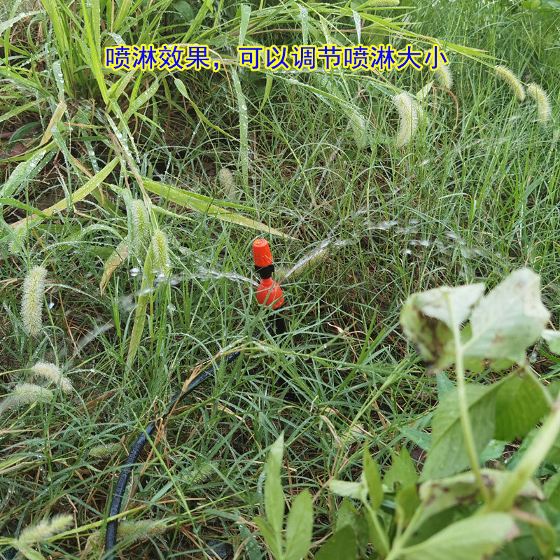 自动浇花器浇水神器定时喷淋雾化滴灌花园喷雾灌溉喷水地插喷头嘴