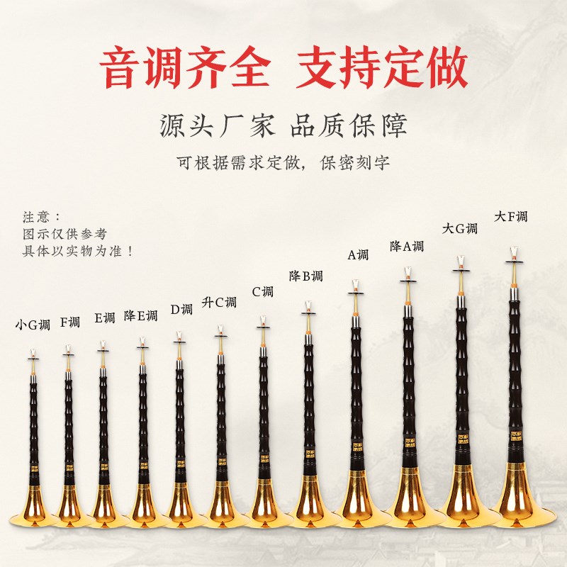 乌木唢呐民间乐器初学入门D调专业演奏C调B调鼓号队小号黄铜喇叭