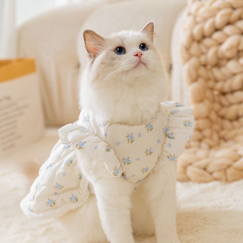 宠物猫咪小清新波浪绗棉情侣装棉衣秋冬衣服防掉毛布偶猫英短蓝猫