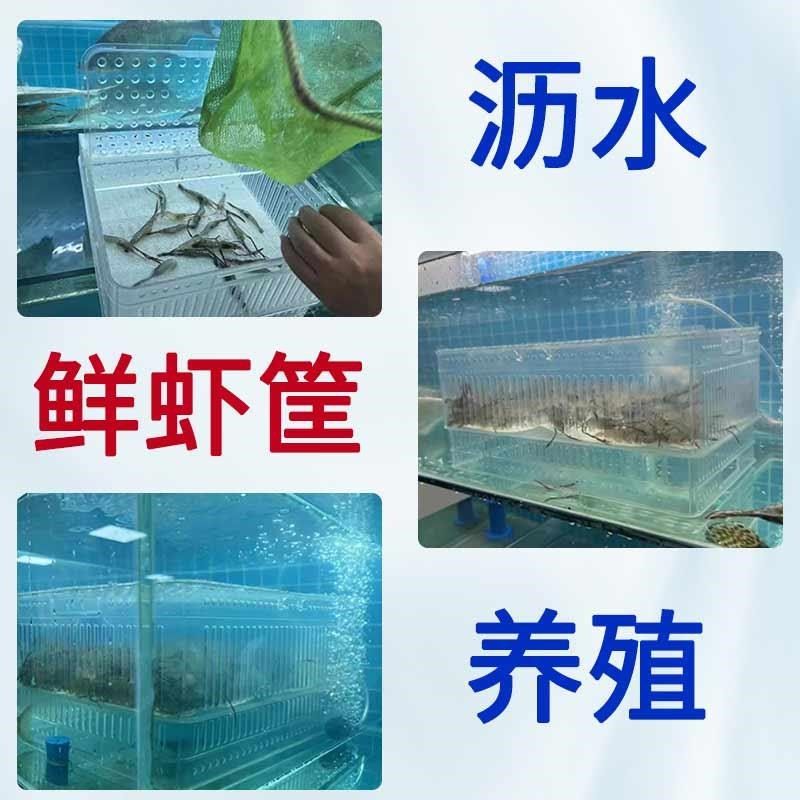 加厚养虾盒大号长方形海鲜贝类蛤蜊收纳沥水塑料筐透水篮饭店市场图片