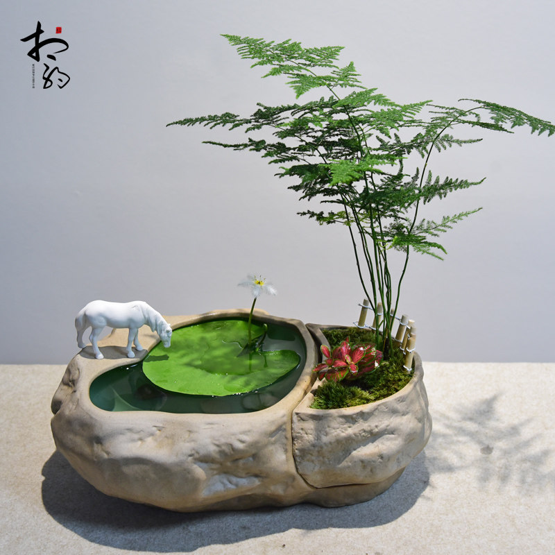 水培一叶莲植物黄杨绿植文竹小叶六月雪盆栽造型艺术米竹盆景室内