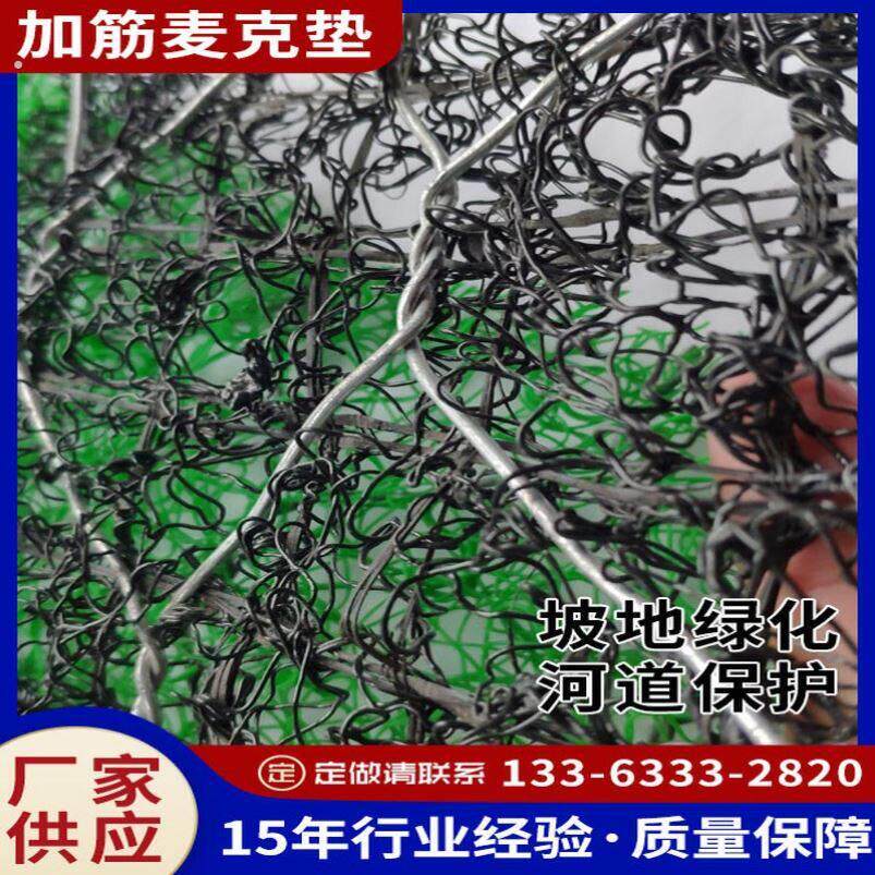 聚丙烯加筋麦克垫三维垫护坡植绿滨垫河道生态修复护网土工格宾网图片