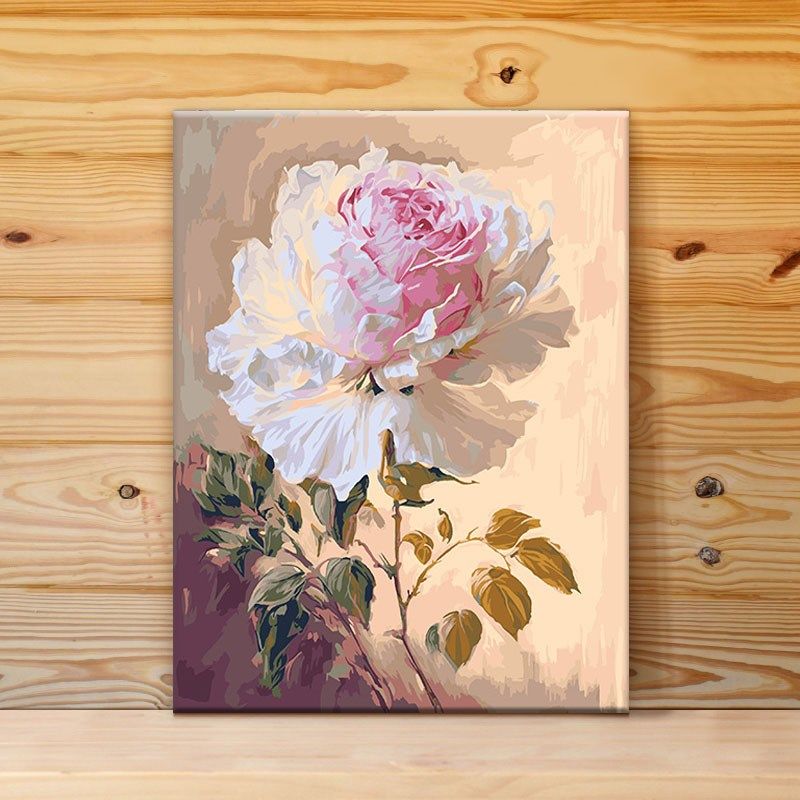数画油字diy填充工卉手绘手花填色画丙烯油彩画装饰画 牡丹芬芳
