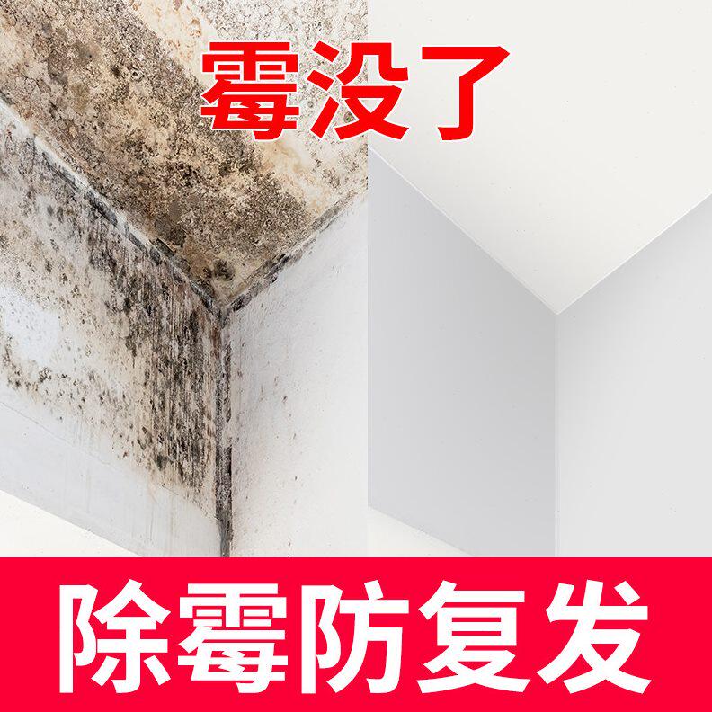 甄选墙体除霉剂白墙清除霉斑霉家用墙纸壁纸霉迹发霉清洁去霉剂