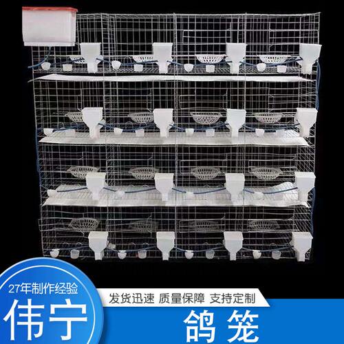 甄选现货大号加粗鸽子用具 16位养殖鸽子笼 信鸽配对笼肉鸽繁殖鸽