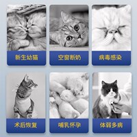 三倍浓缩!含布拉迪酵母Mag乳铁蛋白犬猫增强免疫老猫幼猫少生病