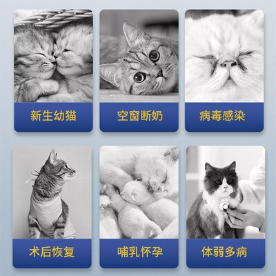三倍浓缩!含布拉迪酵母Mag乳铁蛋白犬猫增强免疫老猫幼猫少生病
