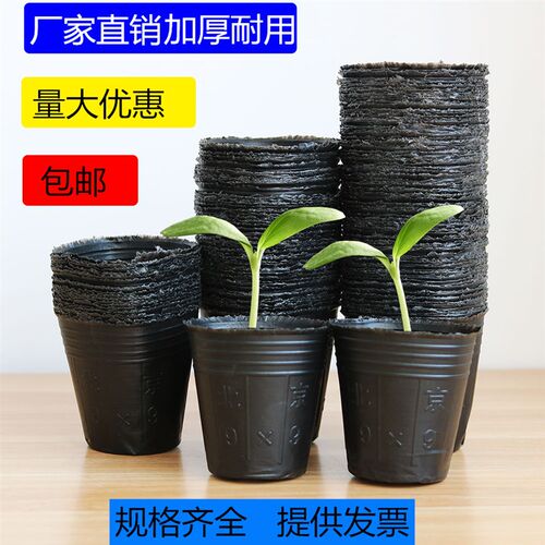 营养杯育苗杯营养钵育苗盆塑料加厚一次性农用营养袋育苗袋花盆大