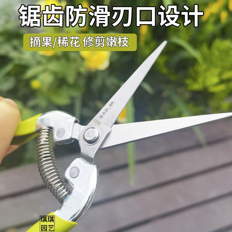 稀果剪名钻翘头梳果剪刀园林玫瑰葡萄桔摘果剪 蔬果剪长头采摘剪