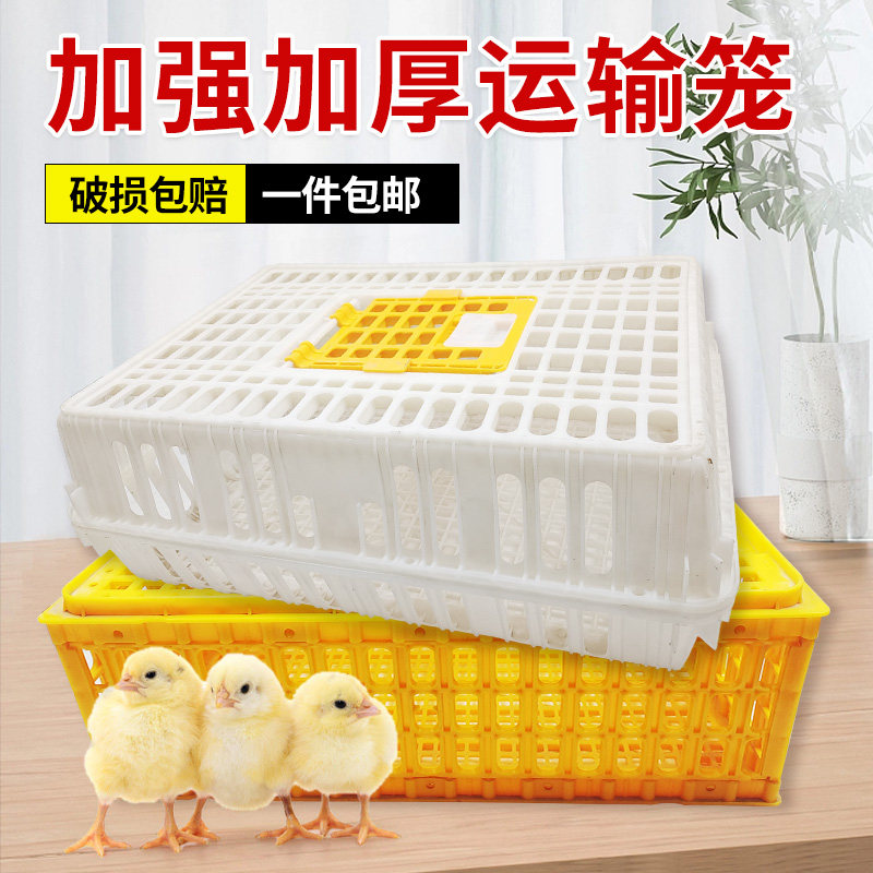 塑料鸡笼周转箱鸡用运输笼鸭鸡苗周转筐鸽子兔用加厚运输筐鸡笼子