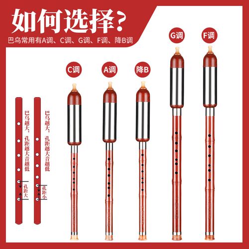 巴乌乐器竖吹g调f调d调c降ba调儿童小学生成人巴乌乐器初学者入门