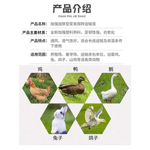 塑料鸡笼运输笼特大成鸡周转箱鸡鸭鹅兔笼鸽笼家用鸡筐加厚鸡笼子