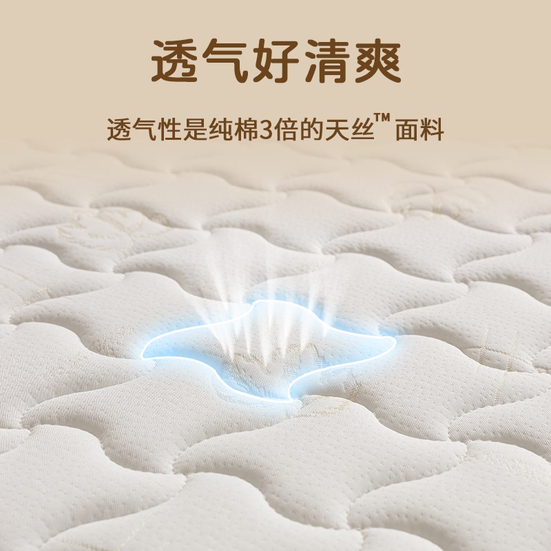 床垫12cm厚加硬椰棕天然纯乳胶护腰脊家用卧室酒店定制单人薄粽榈