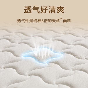 床垫12cm厚加硬椰棕天然纯乳胶护腰脊家用卧室酒店定制单人薄粽榈