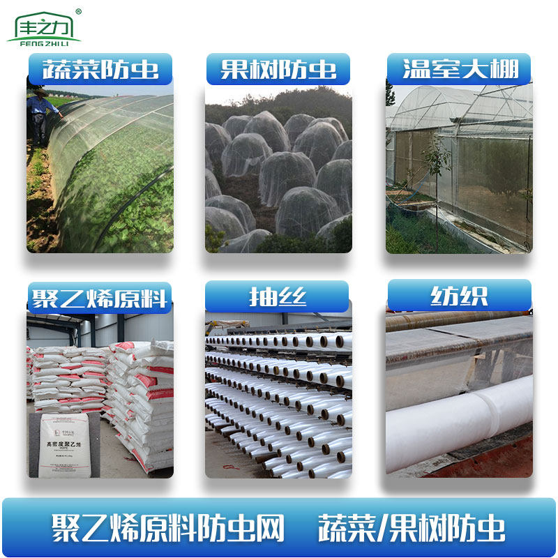 大棚专用防虫网农用蔬菜果树园尼龙果园猪场防蚊专用网纱窗