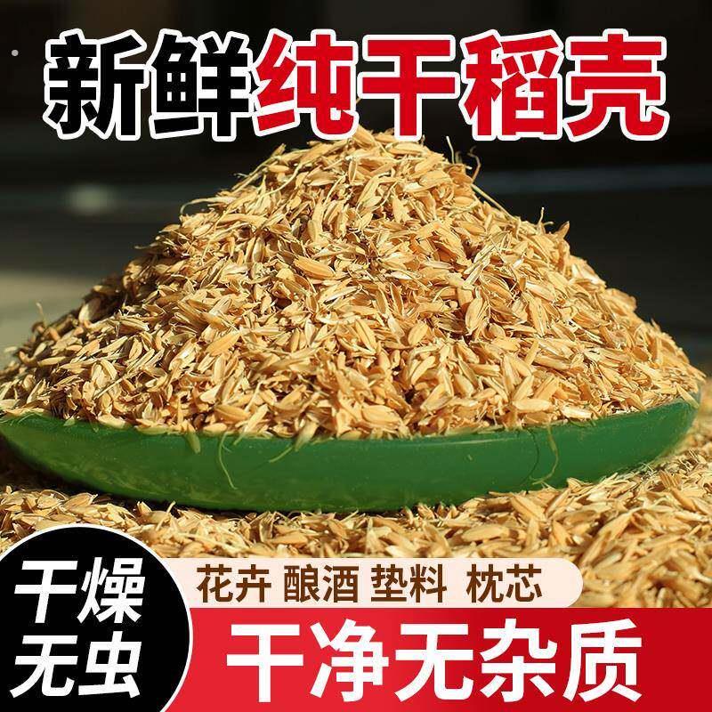 新鲜稻壳垫料稻谷壳粗米糠喂鸡宠物芦丁鸡枕头芯填充酿酒纯干饲料