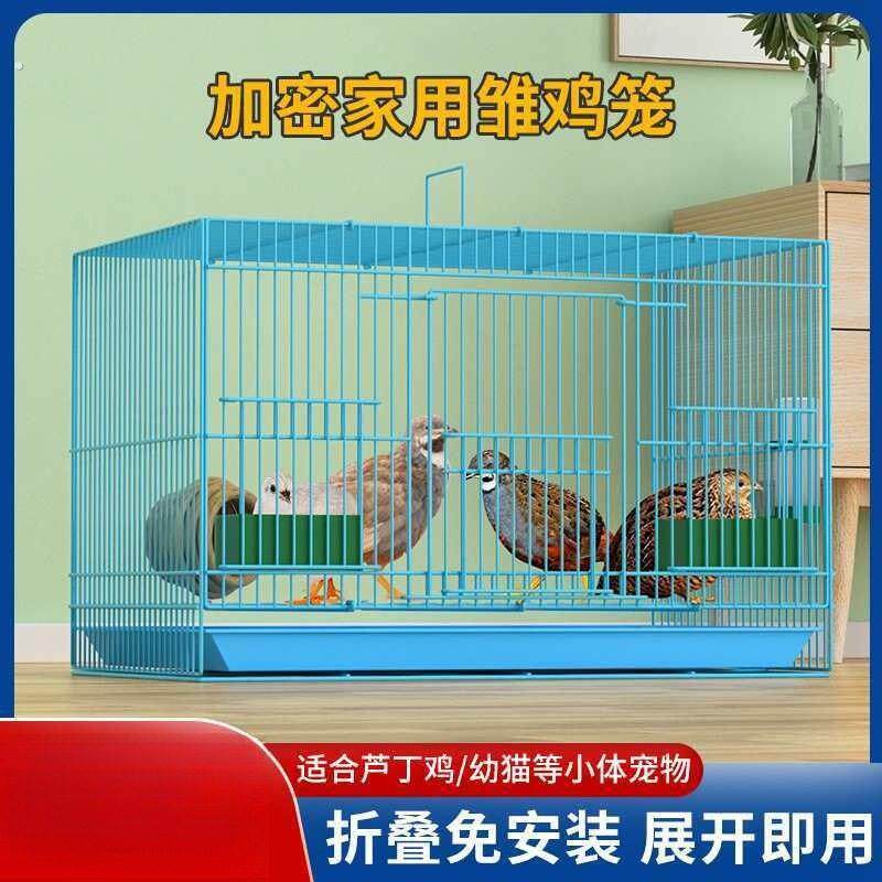 芦丁鸡专用养殖笼子家用加密大号芦丁鸡铁丝笼小鸡小鸭子鹌鹑鸟笼