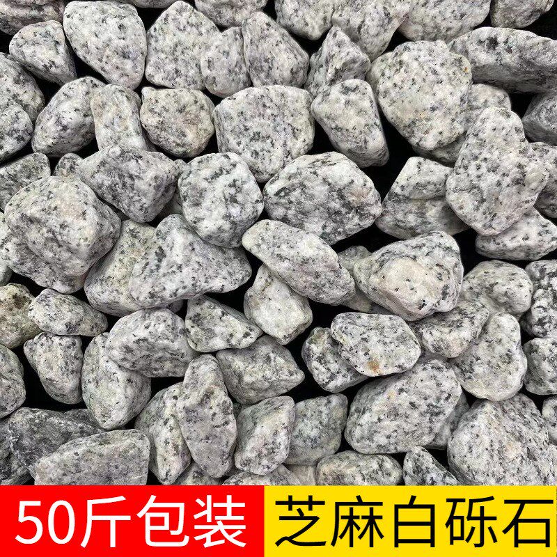 50斤黑白点芝麻灰鹅卵石花岗岩黑色碎石子芝麻白色石子枯山水造景