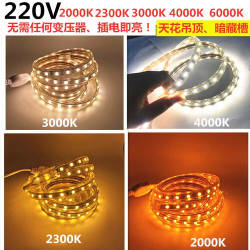 220V2000K2300K2700K3000K4000K6000K5050LED灯条户外防水LED灯带