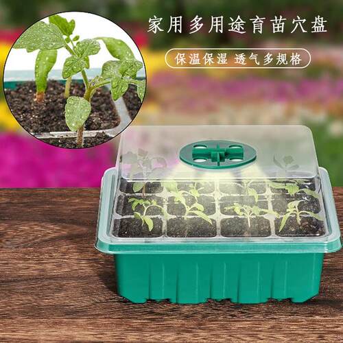 老花农 12/24孔育苗盘大穴育苗箱保温盒 绿植花卉蔬菜播种育苗钵