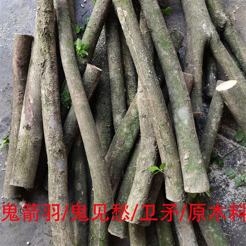 鬼箭羽木料木雕鬼见愁木料手串佛珠手把件卫矛雕刻料车珠子四棱木