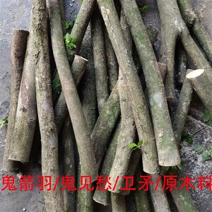 鬼箭羽木料木雕鬼见愁木料手串佛珠手把件卫矛雕刻料车珠子四棱木