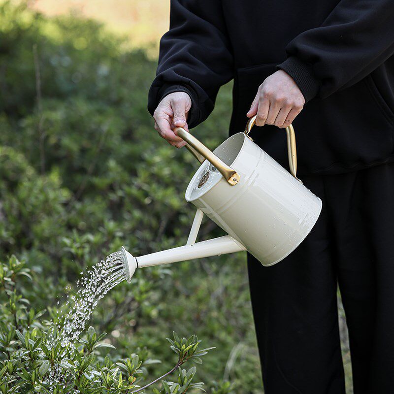 双手柄铁艺洒水壶白色高颜值复古浇花水壶4L大号淋壶家用花园装饰