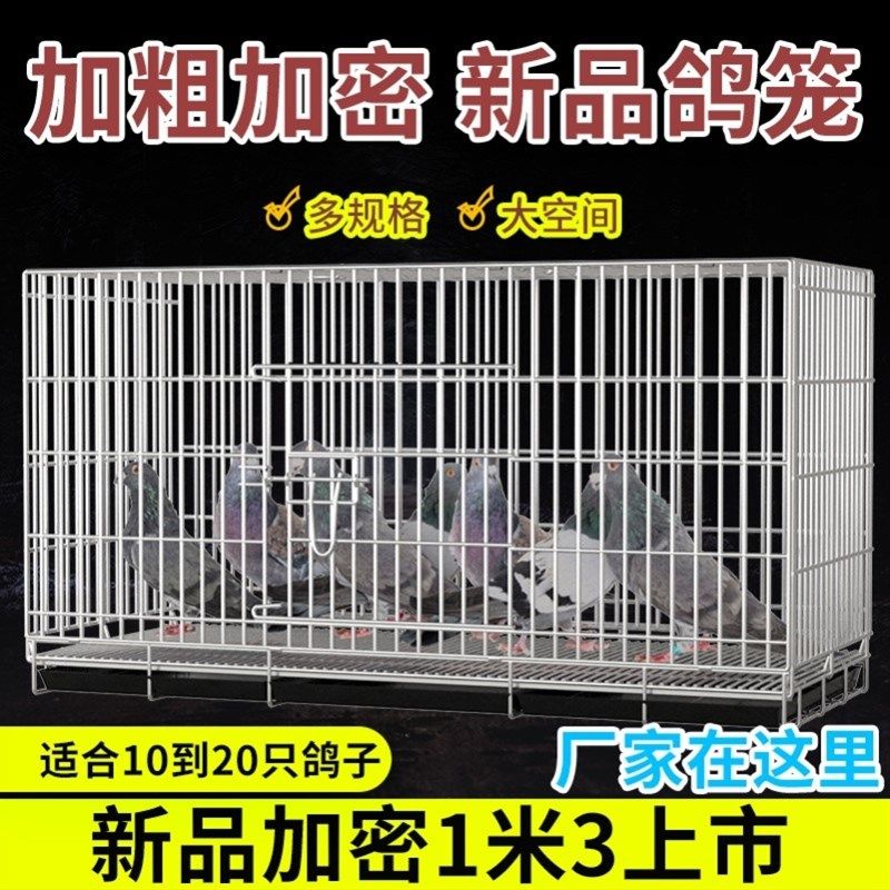 不锈钢鸽子笼养殖笼大室外二层鸟笼大全大空间鸽子笼子特大专用图片