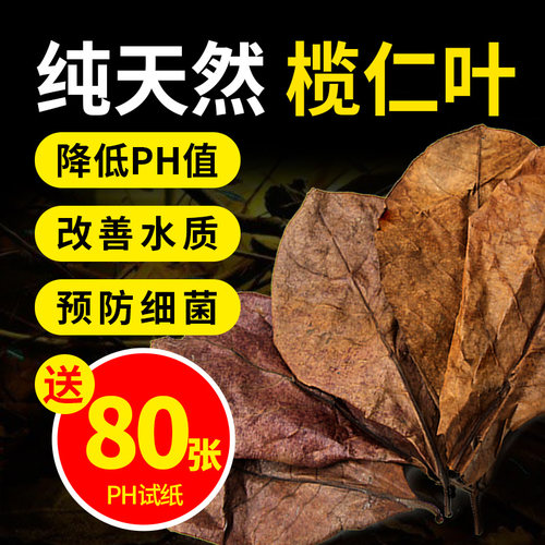 水族天然榄仁叶 龙眼叶 降低鱼缸PH值水族箱降酸调节懒人叶包邮