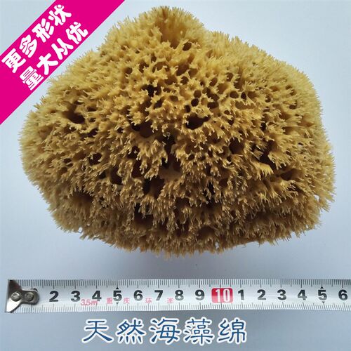 希腊进口天然海藻术三色工光幻彩漆珠具艺棉漆艺术涂料拍墙面印花