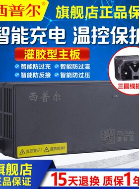 雅2电动车铅酸蓄电池48V1普ah60V30a7迪V20三圆头西2尔原装充电器