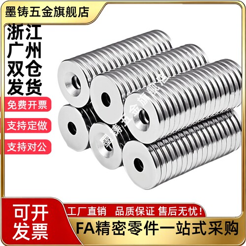 BLS65/66-A8/A10/A12/A15/A20/A25-T2/T3/T4/T4.5/T5/T5.5/T6磁铁