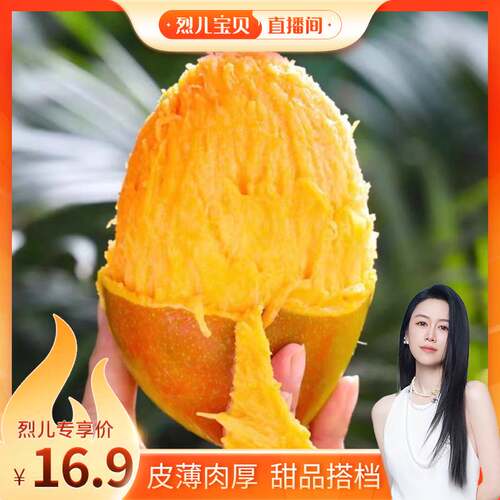超大凯特芒 圆滚肉厚