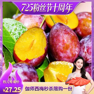 【烈儿粉丝节】新疆西梅伽师西梅新鲜水果应季法兰西西梅酸甜可口