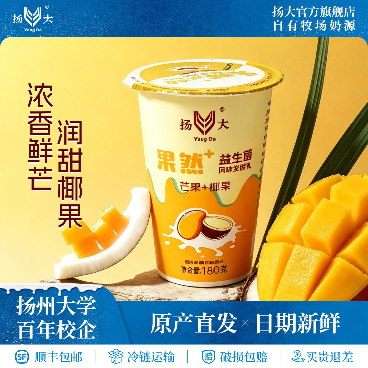 扬大酸奶扬州大学网红芒果椰果低温酸牛奶生牛乳原味茉莉花发酵乳