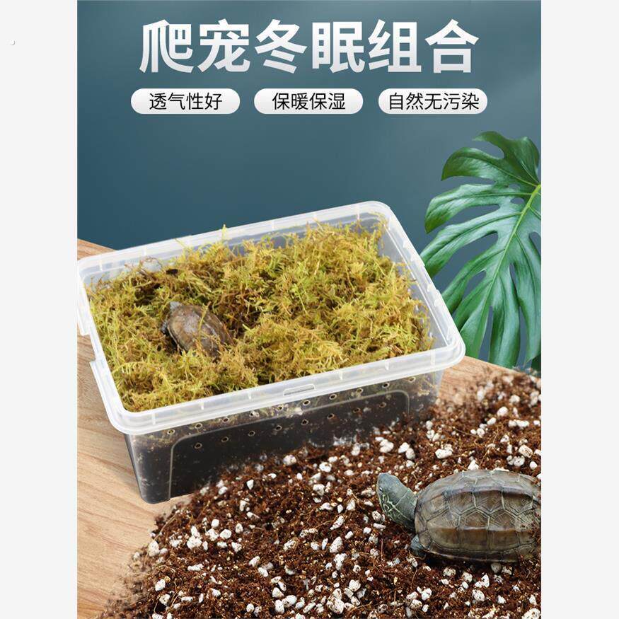 乌龟草龟巴西龟冬眠用品椰土饲养箱沙子盒过冬装备沙土沙龟用土窝