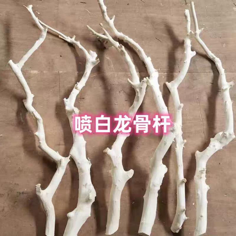天然干树枝树枝装饰干燥树枝艺术枯枝枯木树干去皮本色树枝造型衣