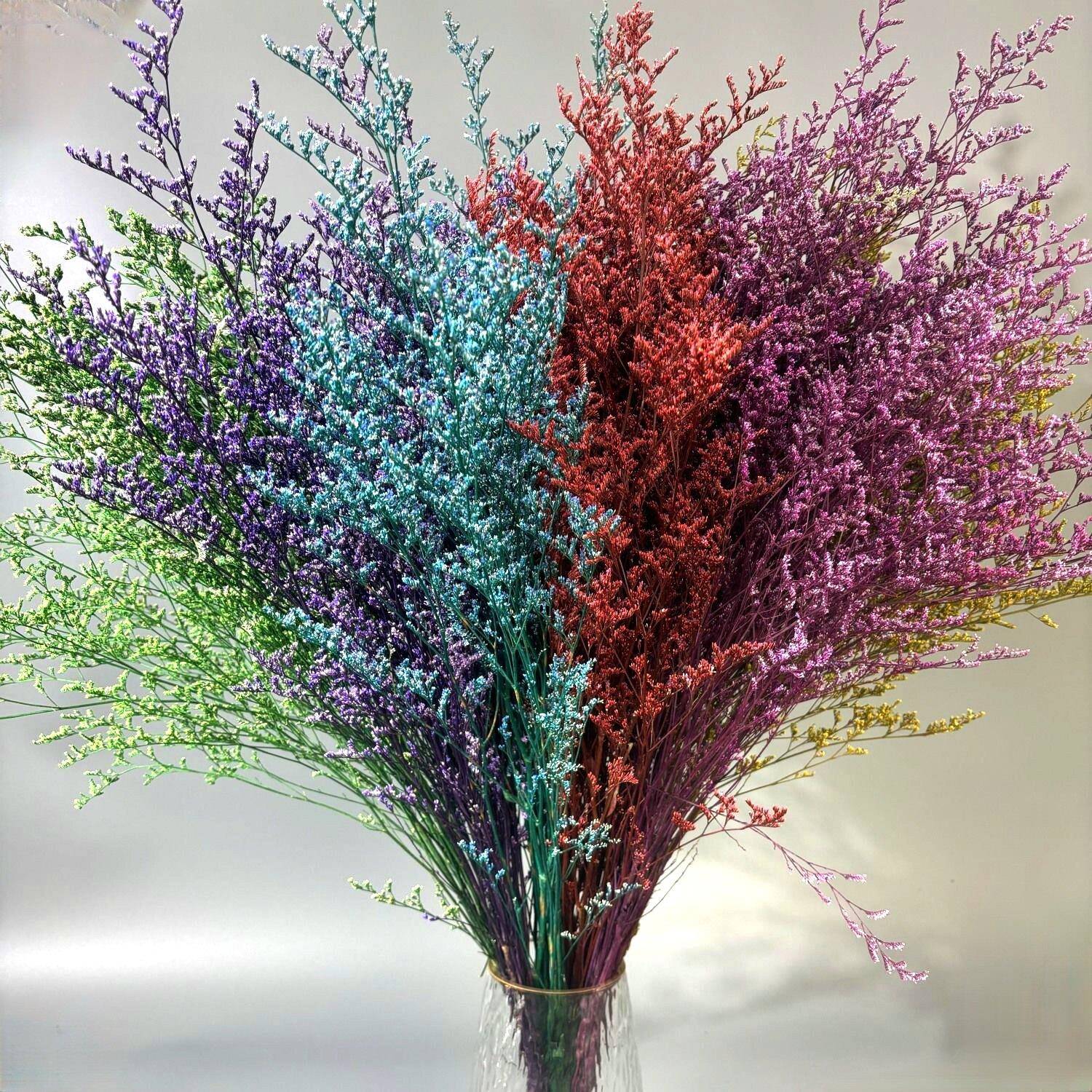 情人草仙花真花家装窗插花饰品DIY干花材料来自云南厂家直供